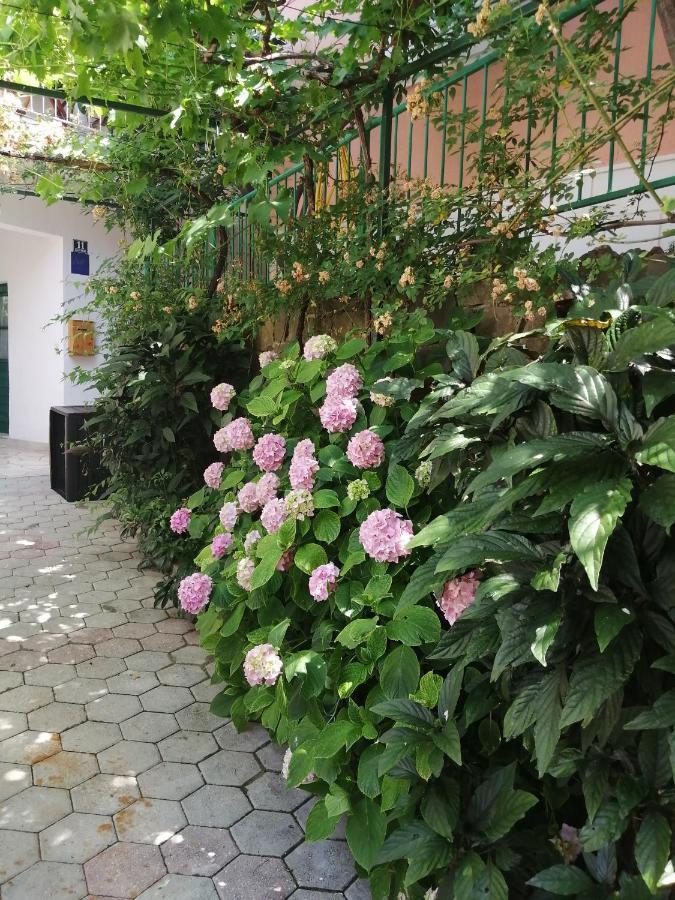 Apartmani Lucija Podgora Kültér fotó